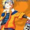 Naruto, Volumes 10, 11, 12