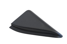 Ornament panou ușă dreapta spate CITRO&Euml;N C4 III BA_, BB_, BC_ 2022 OEM: 9831078280 | 21264608