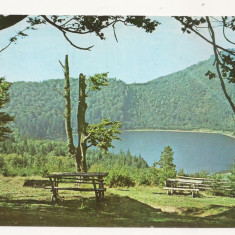 RC16 -Carte Postala -Lacul Sf Ana, circulata 1970