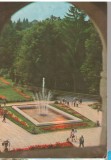 CPI B14501 - CARTE POSTALA - GOVORA. PARCUL