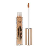 Concealer Lichid Ushas #01