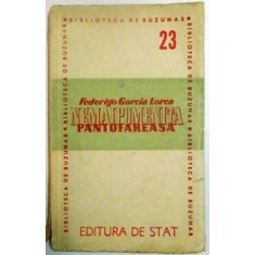 NEMAIPOMENITA PANTOFAREASA - FEDERIGO GARCIA LORCA