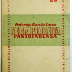 NEMAIPOMENITA PANTOFAREASA - FEDERIGO GARCIA LORCA