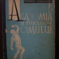 Anatomia si fiziologia omului-C.Petricu,I.C.Voiculescu