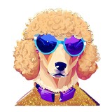 Sticker decorativ Caine Poodle, Portocaliu, 67 cm, 7696ST