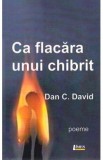 Ca flacara unui chibrit - Dan C. David