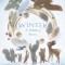 Winter: A Solstice Story