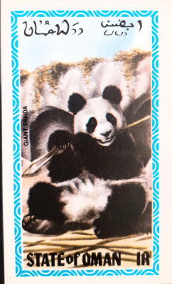 Oman fauna ursi panda , bloc nedantelat mnh foto