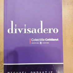 Divisadero / Colectiile Cotidianul 103