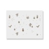 Șablon Refolosibil Cactus 900x600x0.7mm, PVC, Alb, Model MXSP7024, Decorativ, Zidărie, Perete, DIY