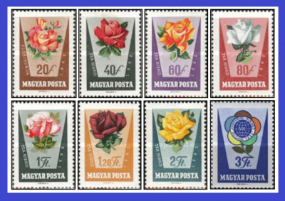 Ungaria 1962 - trandafiri, serie neuzata foto