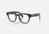 RayBanMeta ScriberOptics STUmber/Demo G2
