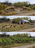 Teren pretabil pt constructii case in pam&acirc;nt , ferma , pensiune sau plantatie pomi., Teren extravilan