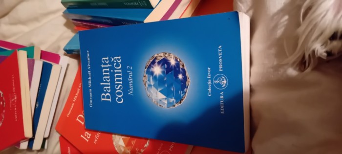 AIVANHOV &quot;BALANTA COSMICA&quot;