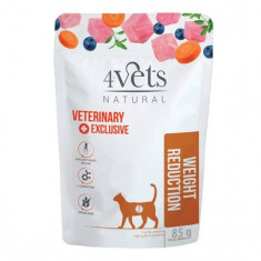 4Vets Cat Natural Veterinary Exclusive WEIGHT REDUCTION 85 g