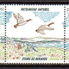 St. Pierre &Miquelon 1994, Fauna - Pasari, serie neuzata, MNH