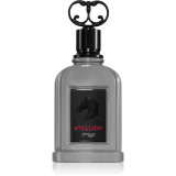 Zimaya Stallion Eau de Parfum pentru bărbați 100 ml