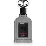 Cumpara ieftin Zimaya Stallion Eau de Parfum pentru bărbați 100 ml