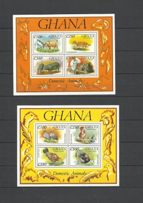 GHANA 1992 FAUNA ANIMALE DOMESTICE foto