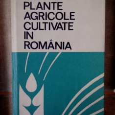 D. Torje, Popescu Stela, V. Dumitrache, Dascalu Angela, Pop Cecilia, Perciali Gh. - Soiuri de plante agricole cultivate in Romania (1972)