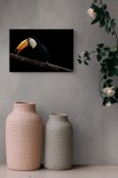 Tablou Canvas, "Tucanul pe creanga &icirc;n &icirc;ntuneric profondă", Pasăre, Colorată, Cioc, Lung, Negru, Ramură, Fundal, &Icirc;ntuneric, 39 x 26 cm, CMCLASS