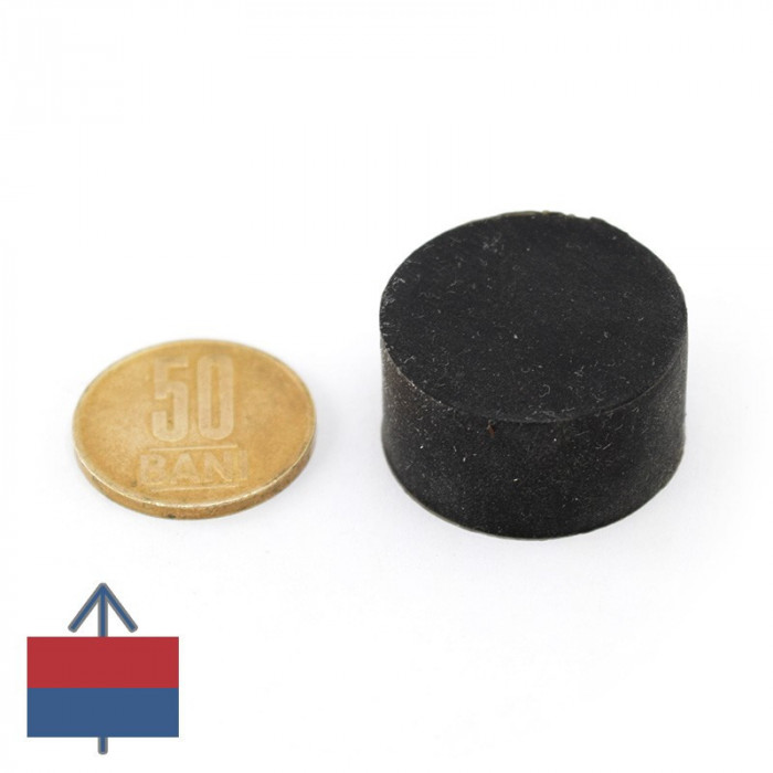 Magnet neodim disc 29 x 15 mm cauciucat