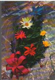 CPIB 15123 - FELICITARE - FLORI. TIPARITA IN ITALIA, P. MARZARI s.r.l. SCHIO