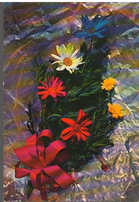 CPIB 15123 - FELICITARE - FLORI. TIPARITA IN ITALIA, P. MARZARI s.r.l. SCHIO foto