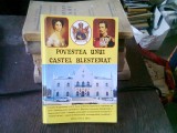 POVESTEA UNUI CASTEL BLESTEMAT. RUGINOASA - ROMAN MONOGRAFIC de THEODOR RASCANU