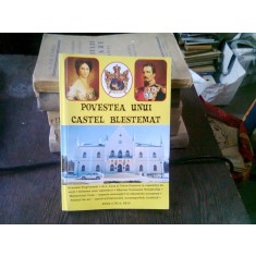 POVESTEA UNUI CASTEL BLESTEMAT. RUGINOASA - ROMAN MONOGRAFIC de THEODOR RASCANU