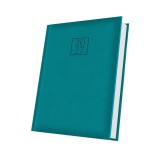 AGENDA DATATA A5 352PAG DELUXE EDOLO COPERTA PIELE SINTETICA TURCOAZ 2027