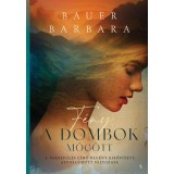 F&eacute;ny a dombok m&ouml;g&ouml;tt - A Vakrep&uuml;l&eacute;s c&iacute;mű reg&eacute;ny kibőv&iacute;tett, &aacute;tdolgozott v&aacute;ltozata - Bauer Barbara