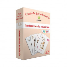 Instrumente muzicale - CJEd.Junior Plus