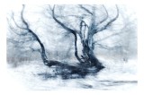 Tablou Canvas, "Dansul fantomatic al copacului iernatic", Copac, V&acirc;nt, Zăpadă, Mister, Umbre, &Icirc;ngheț, Peisaj, Alb, &Icirc;ntunecat, Sugestiv, 39 x 26 cm, CM