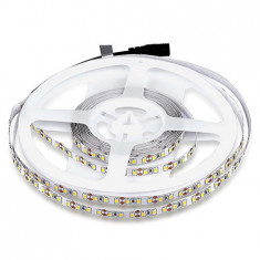 BANDA LED SMD3528 120LED/M 6500K IP20 5M