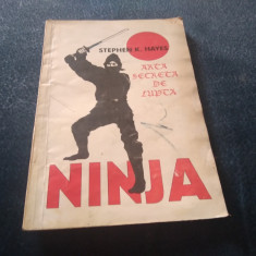 STEPHEN K HAYES - NINJA