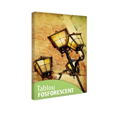 Tablou fosforescent Felinar - 30 cm x 20 cm