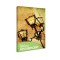 Tablou fosforescent Felinar - 30 cm x 20 cm