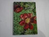 TERMINOLOGIA BOTANICA CRESTINA LA POPORUL ROMAN Studiu etnobotanic - Teresia B. TATARU