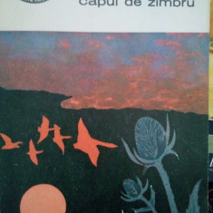 V. Voiculescu - Capul de zimbru (1972)