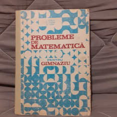 PROBLEME DE MATEMATICA PENTRU GIMNAZIU-ION PETRICA