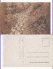 Sihlea , Sihlele (Vrancea) - militara WWI, WK1, Necirculata, Printata