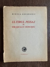 Ultimul peisaj al orasului cenusiu - Mihnea Gheorghiu foto