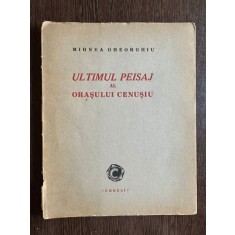 Ultimul peisaj al orasului cenusiu - Mihnea Gheorghiu