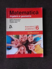 Matematica, algebra si geometrie, exercitii si probleme clasa a 6-a - Felicia Sandulescu