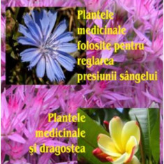 Plantele medicinale folosite pentru reglarea presiunii sângelui - Paperback brosat - Jaap Huibers - Antet Revolution