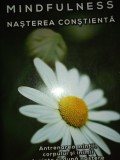 MINDDULNESS - NASTEREA CONSTIENTA - NANCY BARDAKE, HERALD 2018,556 PAG