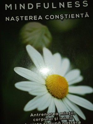 MINDDULNESS - NASTEREA CONSTIENTA - NANCY BARDAKE, HERALD 2018,556 PAG foto