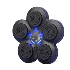 Echipament de box, integrare inteligenta cu muzica, conexiune Bluetooth, aparat de box B