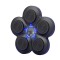 Echipament de box, integrare inteligenta cu muzica, conexiune Bluetooth, aparat de box B